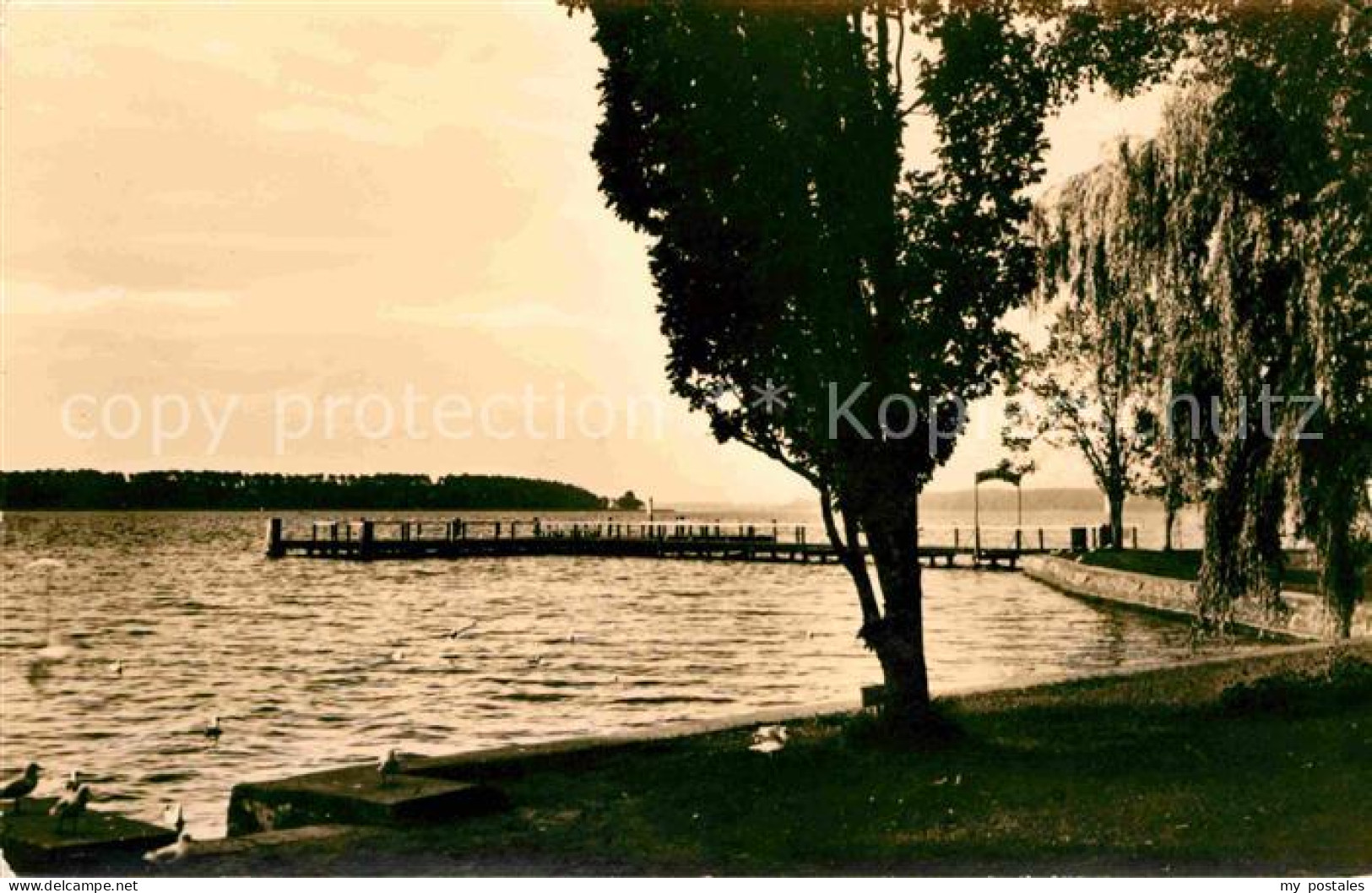 Waren Mueritz Uferpartie an der Mueritz Mecklenburgische Seenplatte