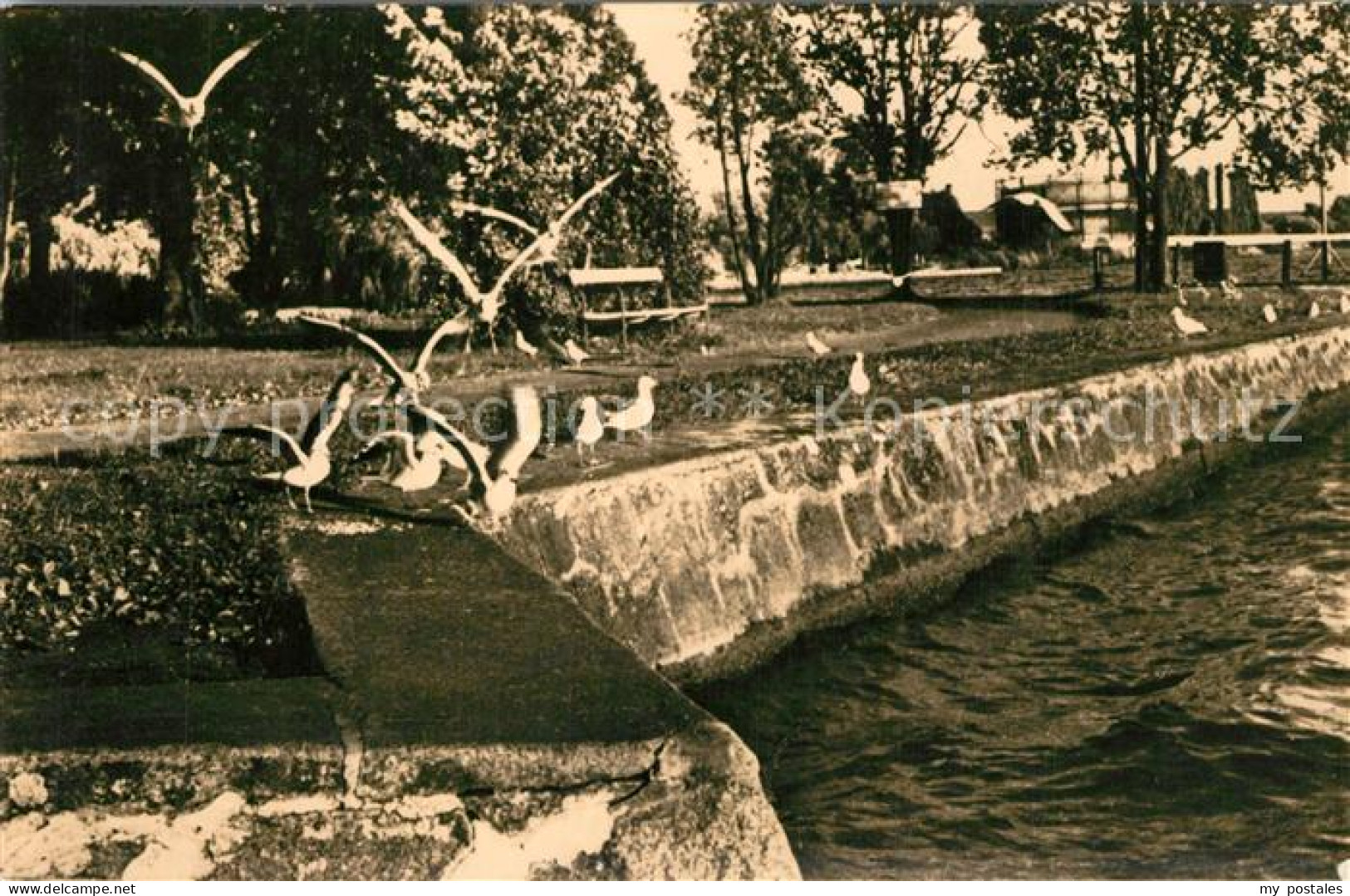 Waren Mueritz Uferpromenade an der Mueritz Mecklenburgische Seenplatte