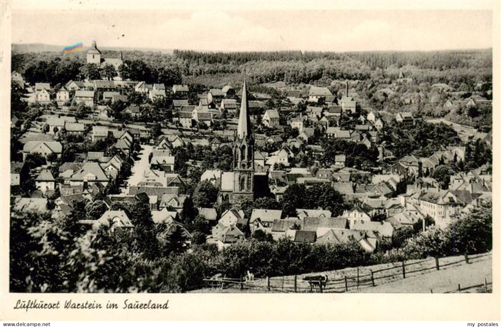 Warstein Panorama