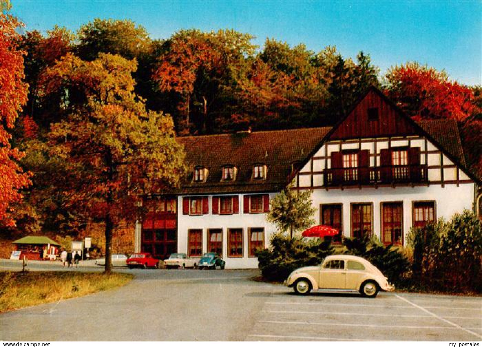 Warstein Waldhotel Tropfsteinhoehle Wlldgehege