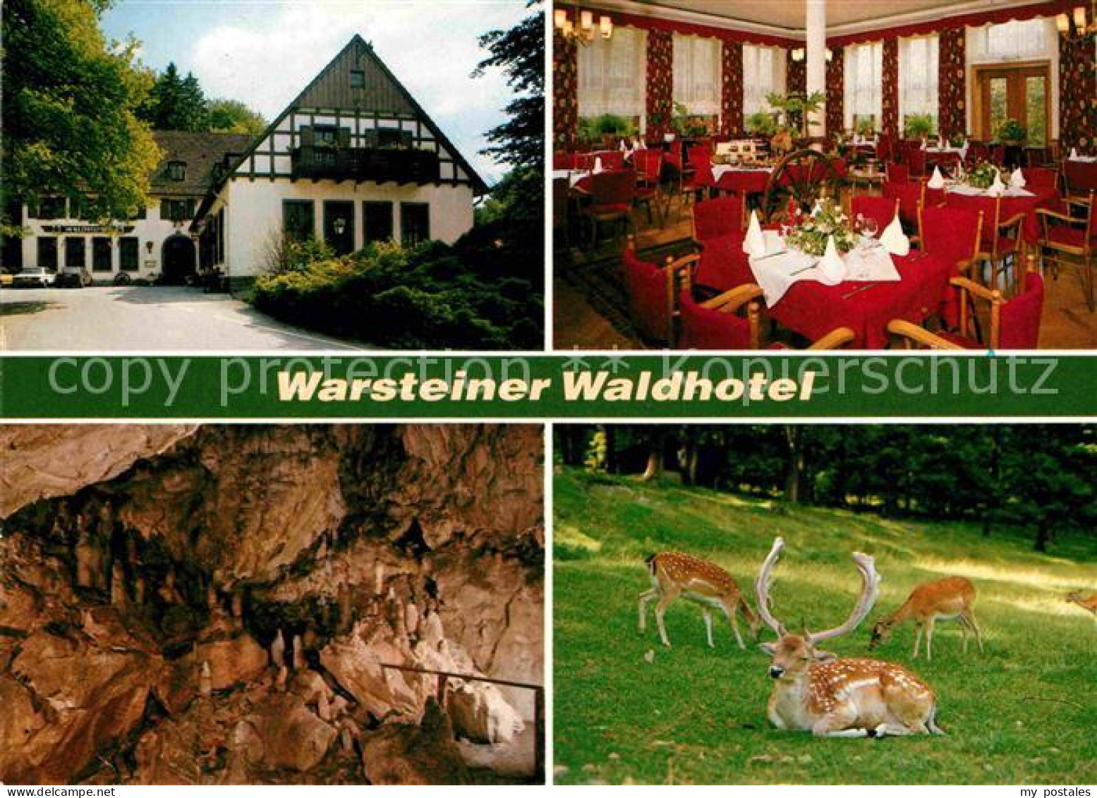 Warstein Warsteiner Waldhotel Restaurant Tropfsteinhoehle Damwild