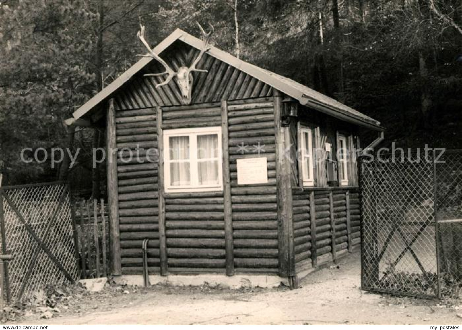 Waschleithe Wildpark Eingang Blockhaus