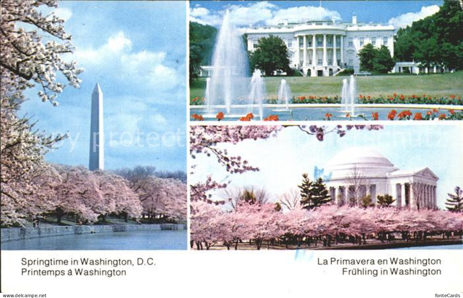 Washington DC Washington Monument White House