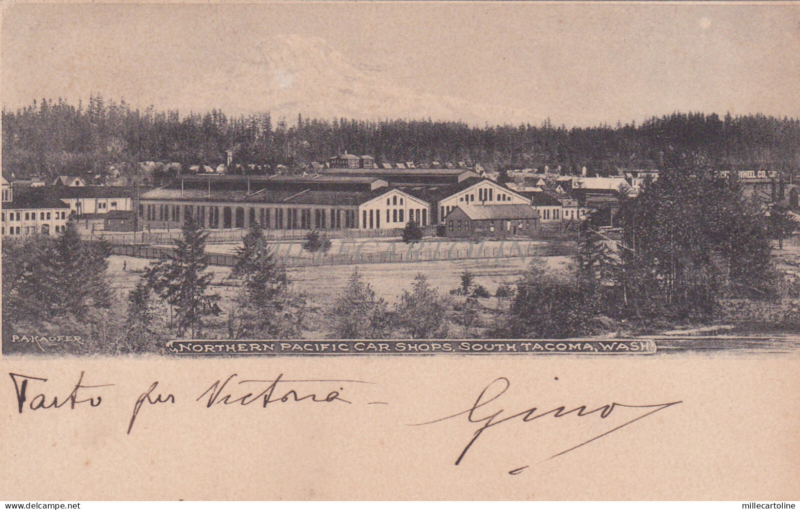 WASHINGTON - Northern Pacific Car Shops, South Tacoma, Postcard 1906