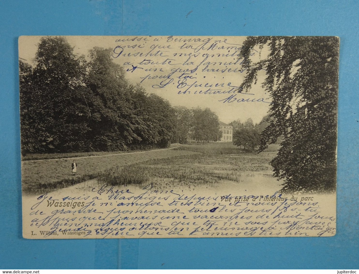 Wasseiges Vue prise de l'intérieur du parc