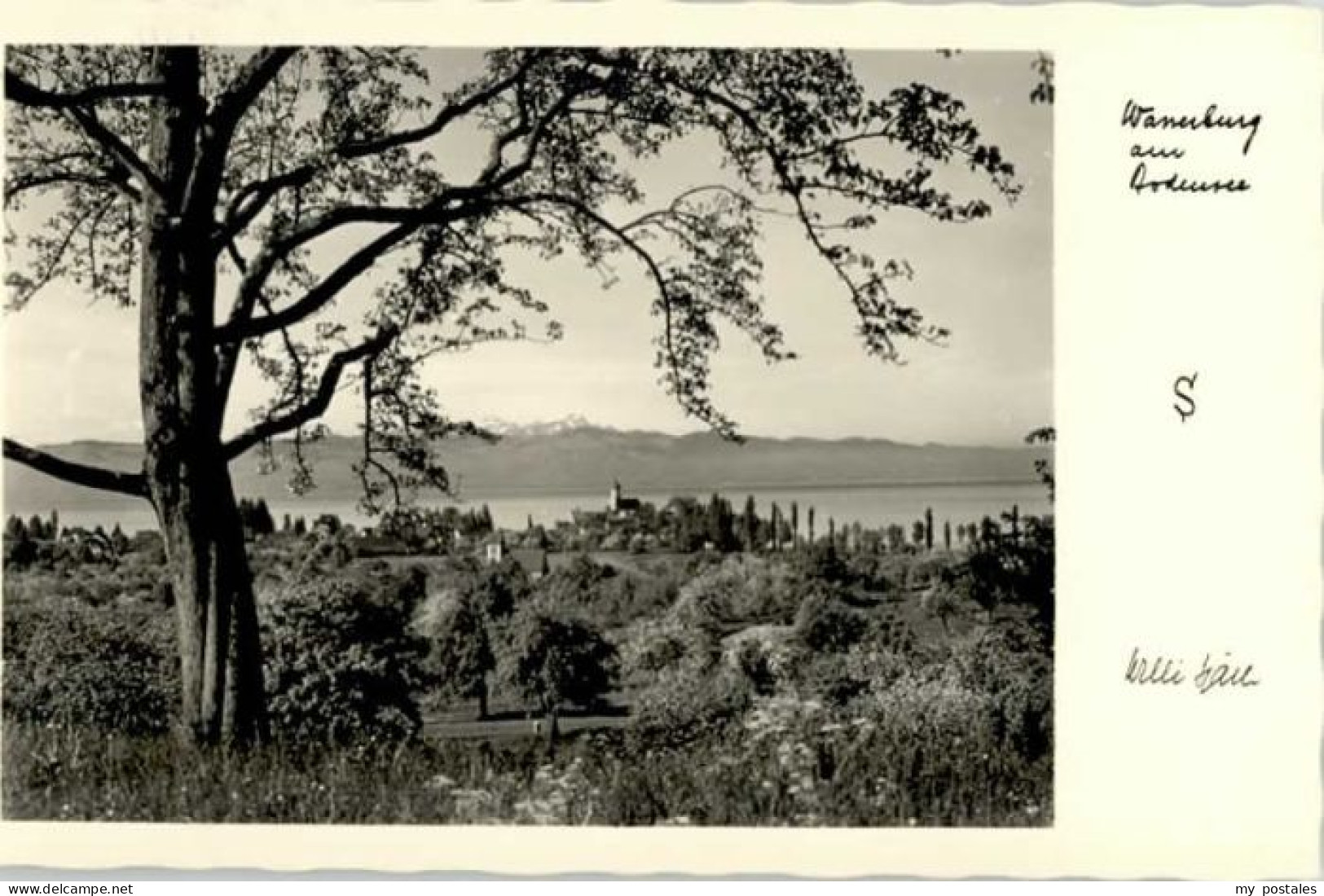 Wasserburg Bodensee
