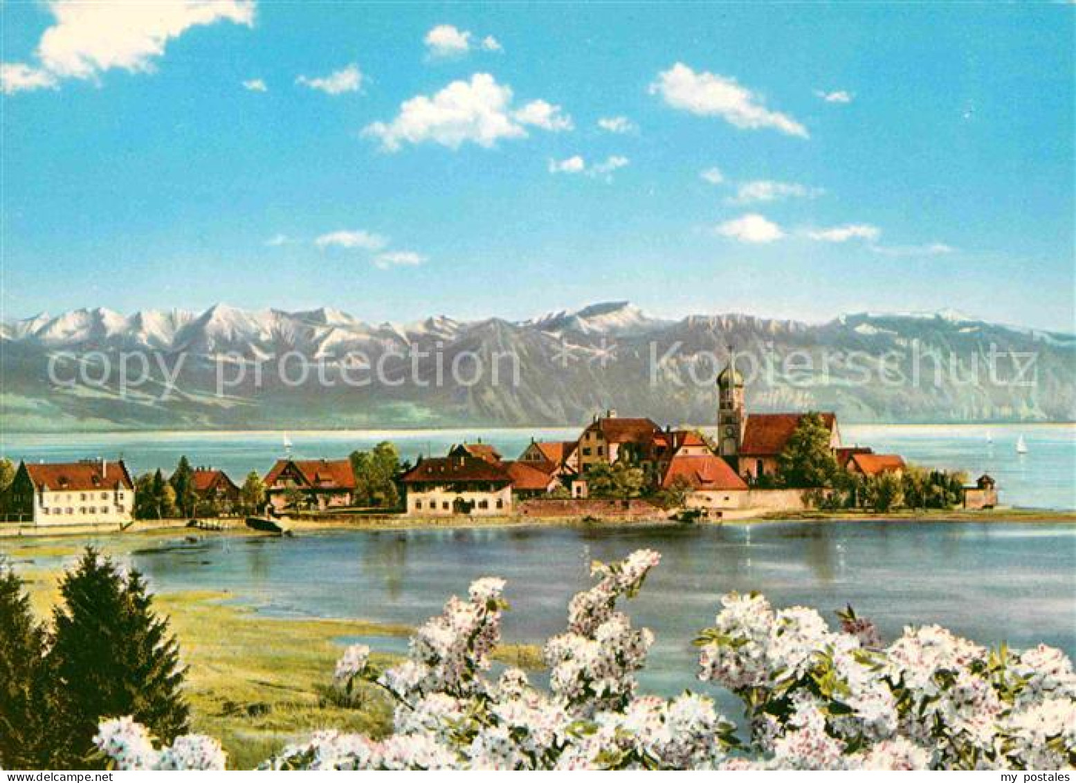 Wasserburg Bodensee Panorama