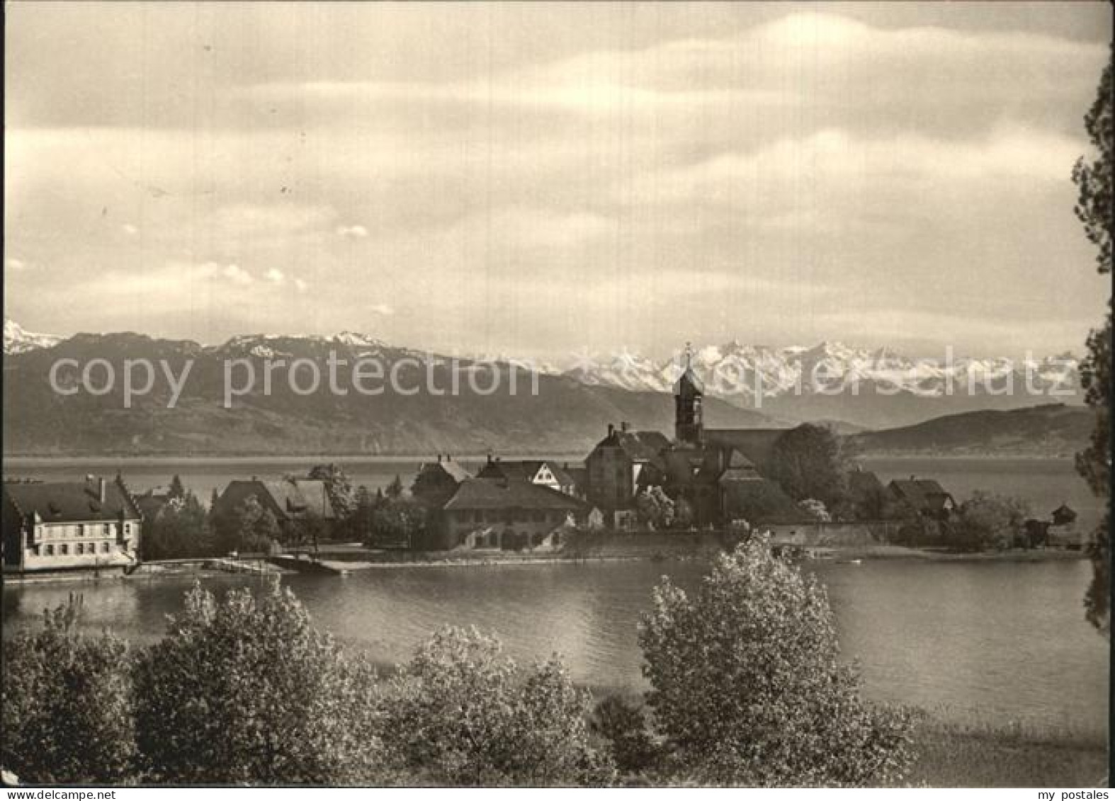 Wasserburg Bodensee Panorama