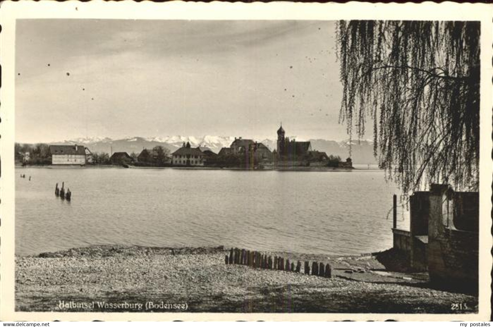 Wasserburg Bodensee Uferpartie am Bodensee Blick zur Halbinsel Alpenpanorama