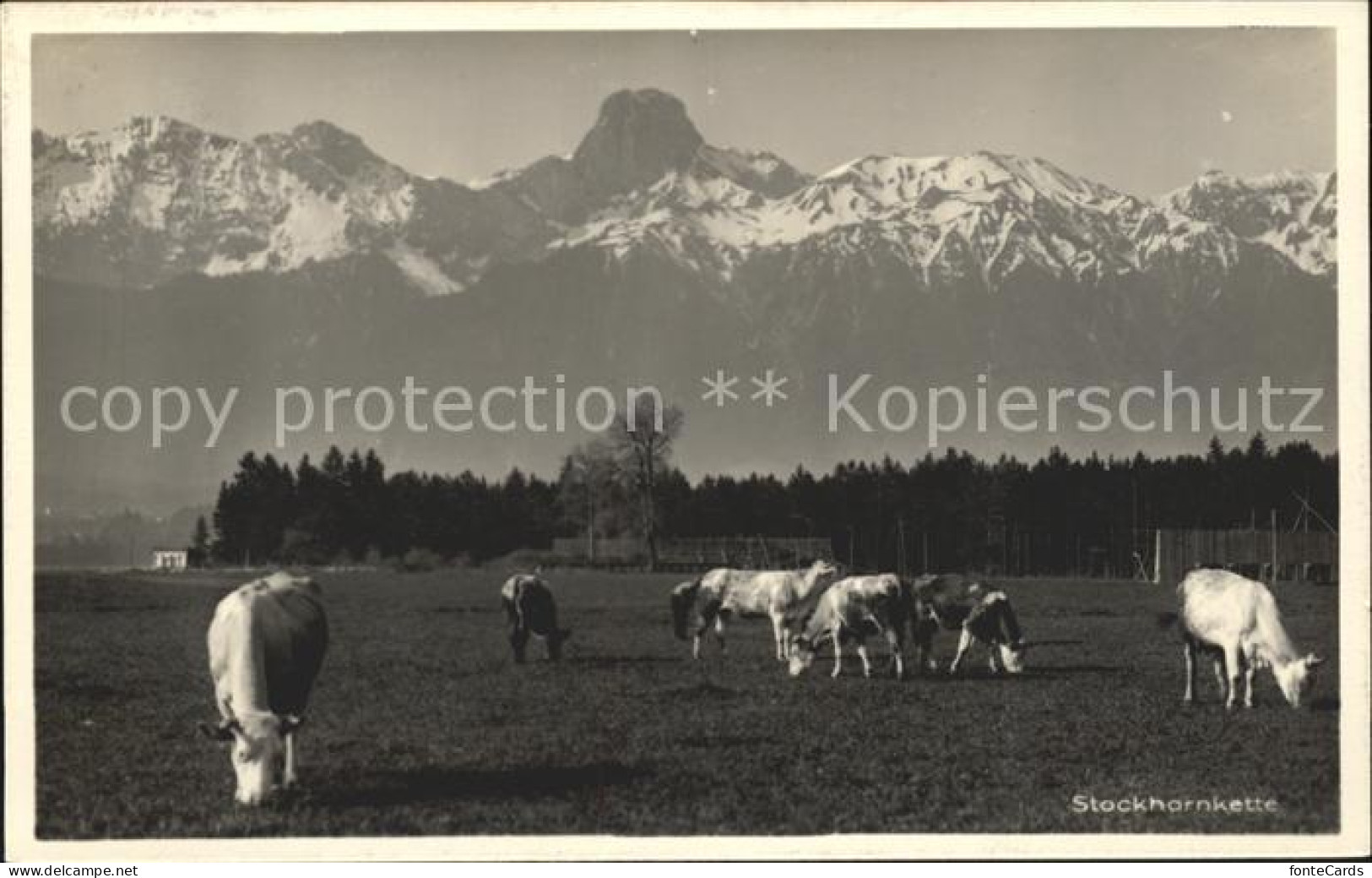 Wattenwil Stockhornkette