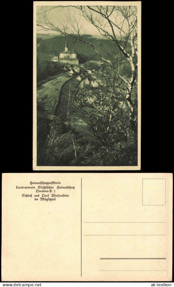 Weesenstein (Müglitz) Schloß und Dorf Weesenstein im Mügliztal 1910