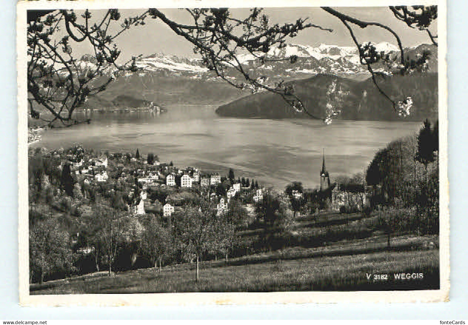 Weggis Vierwaldstaettersee Weggis