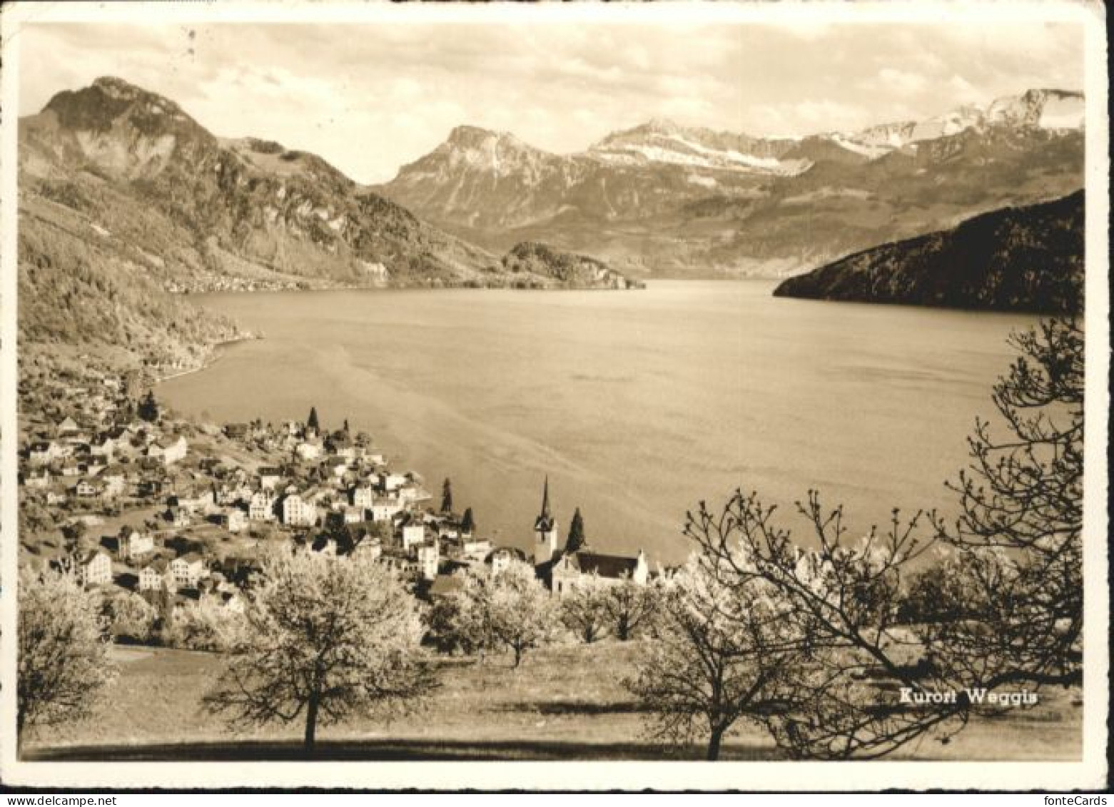 Weggis Vierwaldstaettersee Weggis