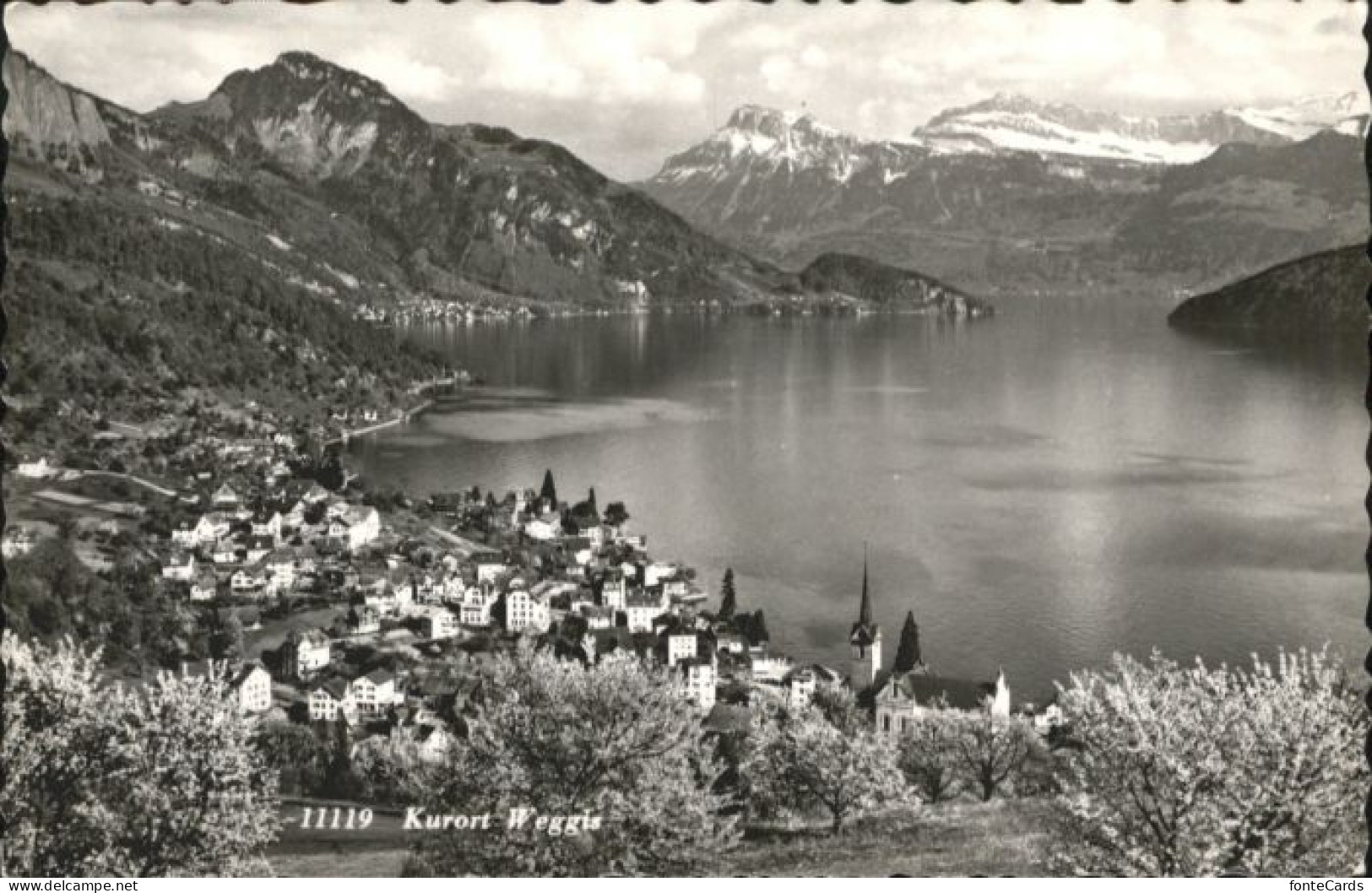 Weggis Vierwaldstaettersee Weggis