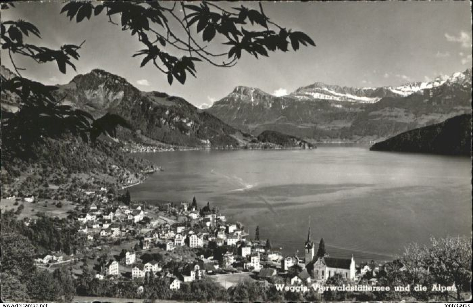 Weggis Vierwaldstaettersee Weggis