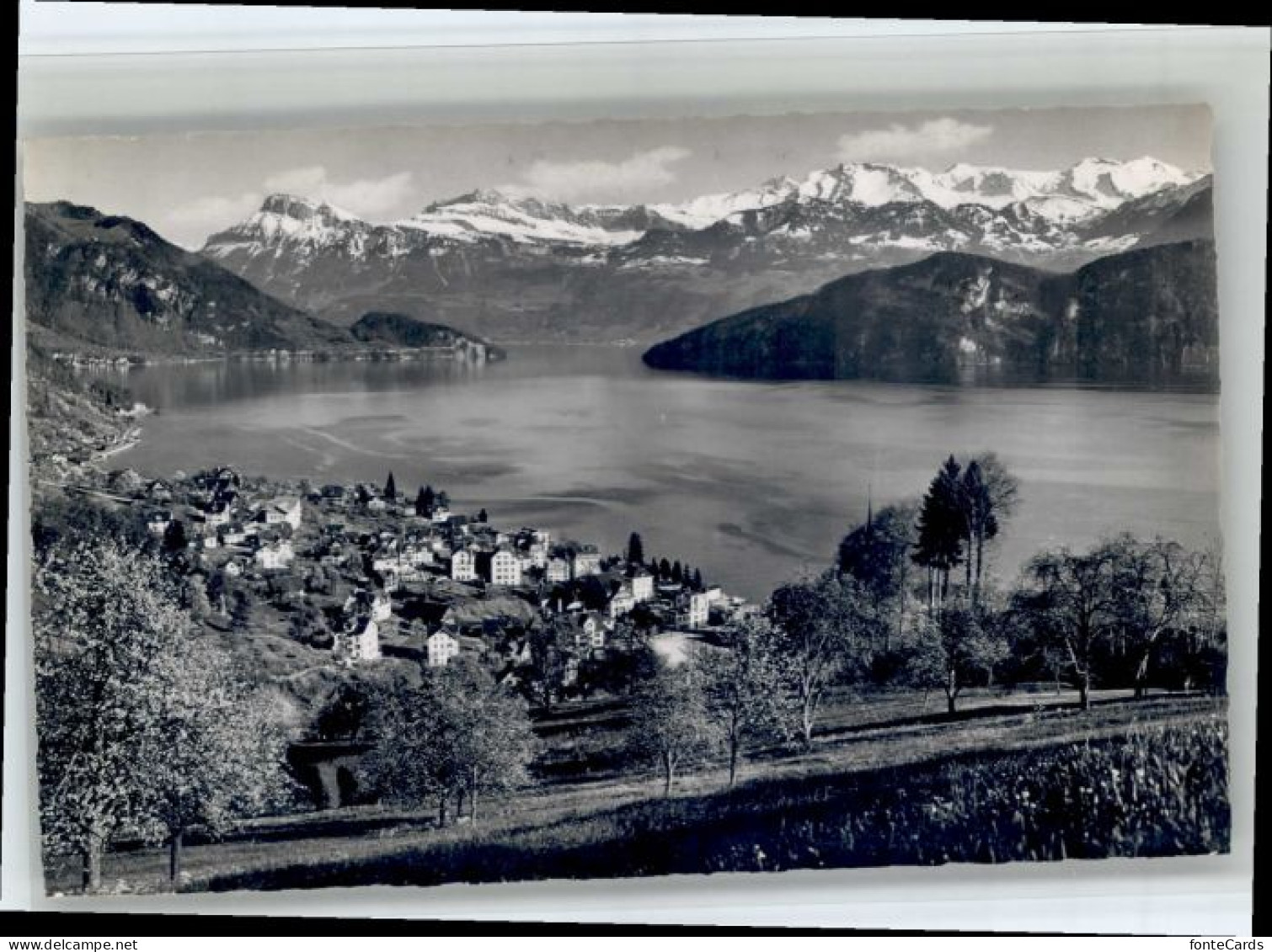 Weggis Vierwaldstaettersee Weggis