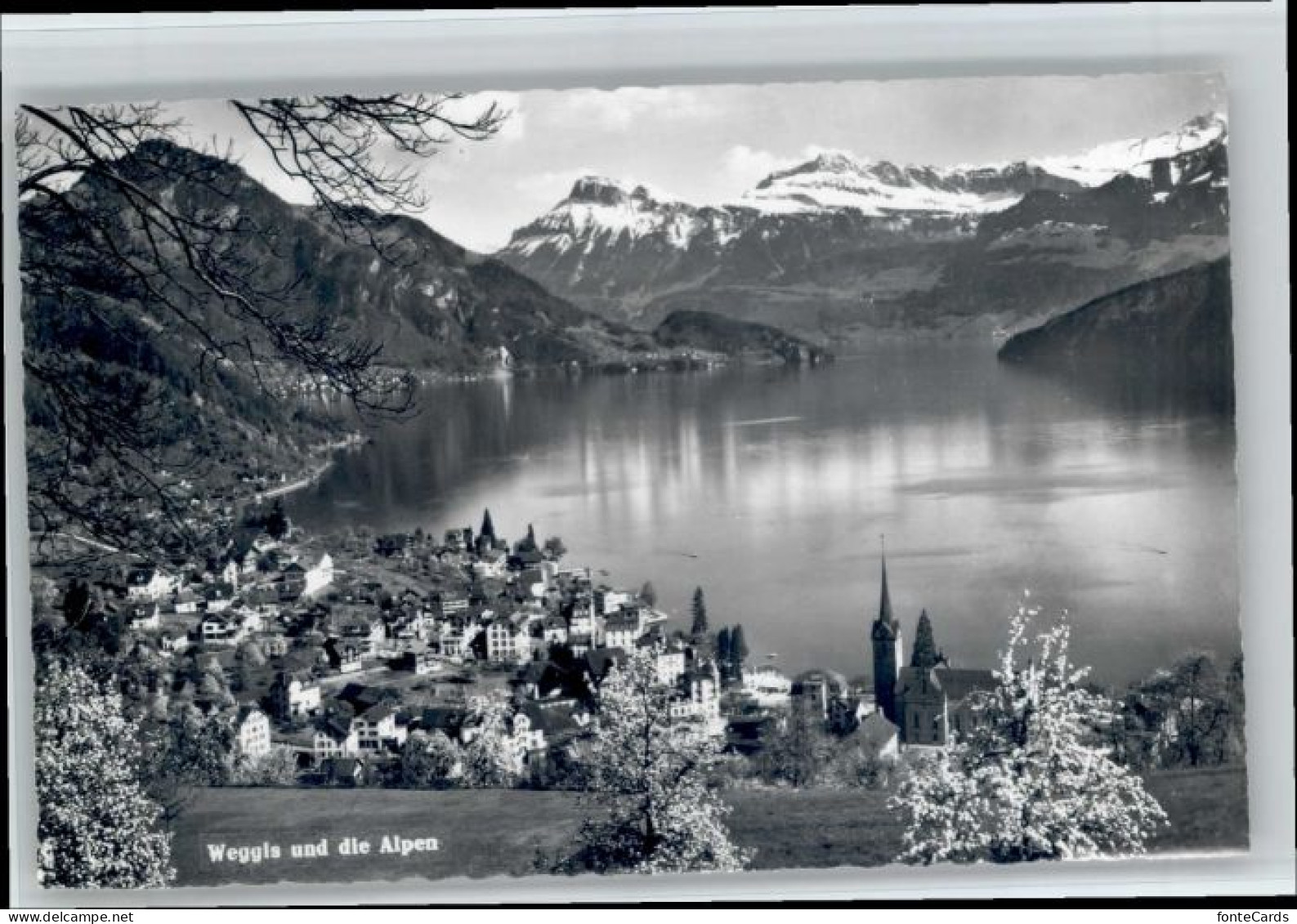 Weggis Vierwaldstaettersee Weggis