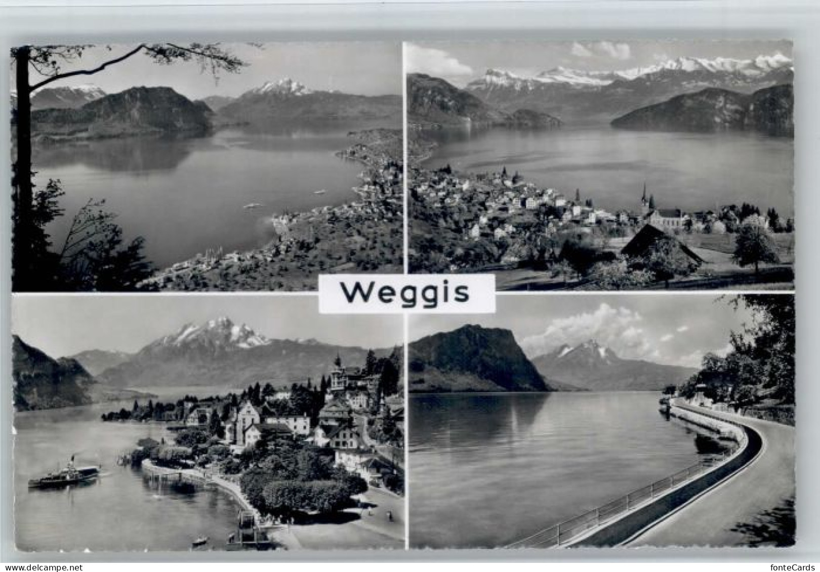 Weggis Vierwaldstaettersee Weggis