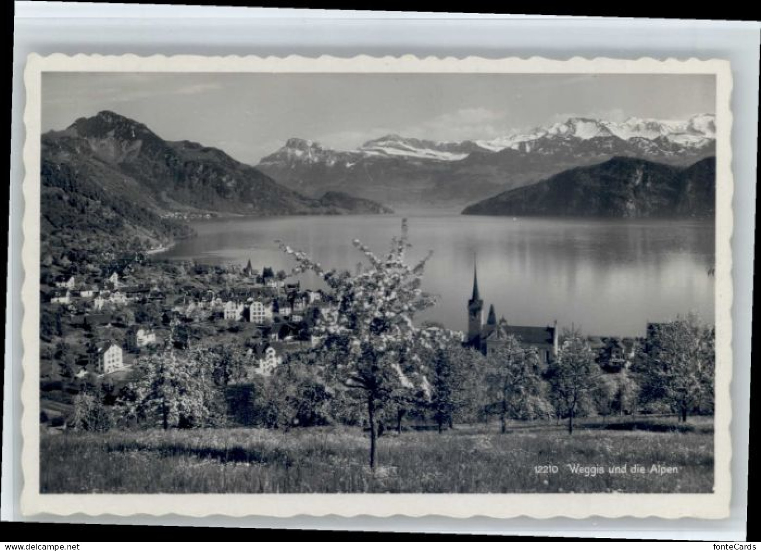 Weggis Vierwaldstaettersee Weggis