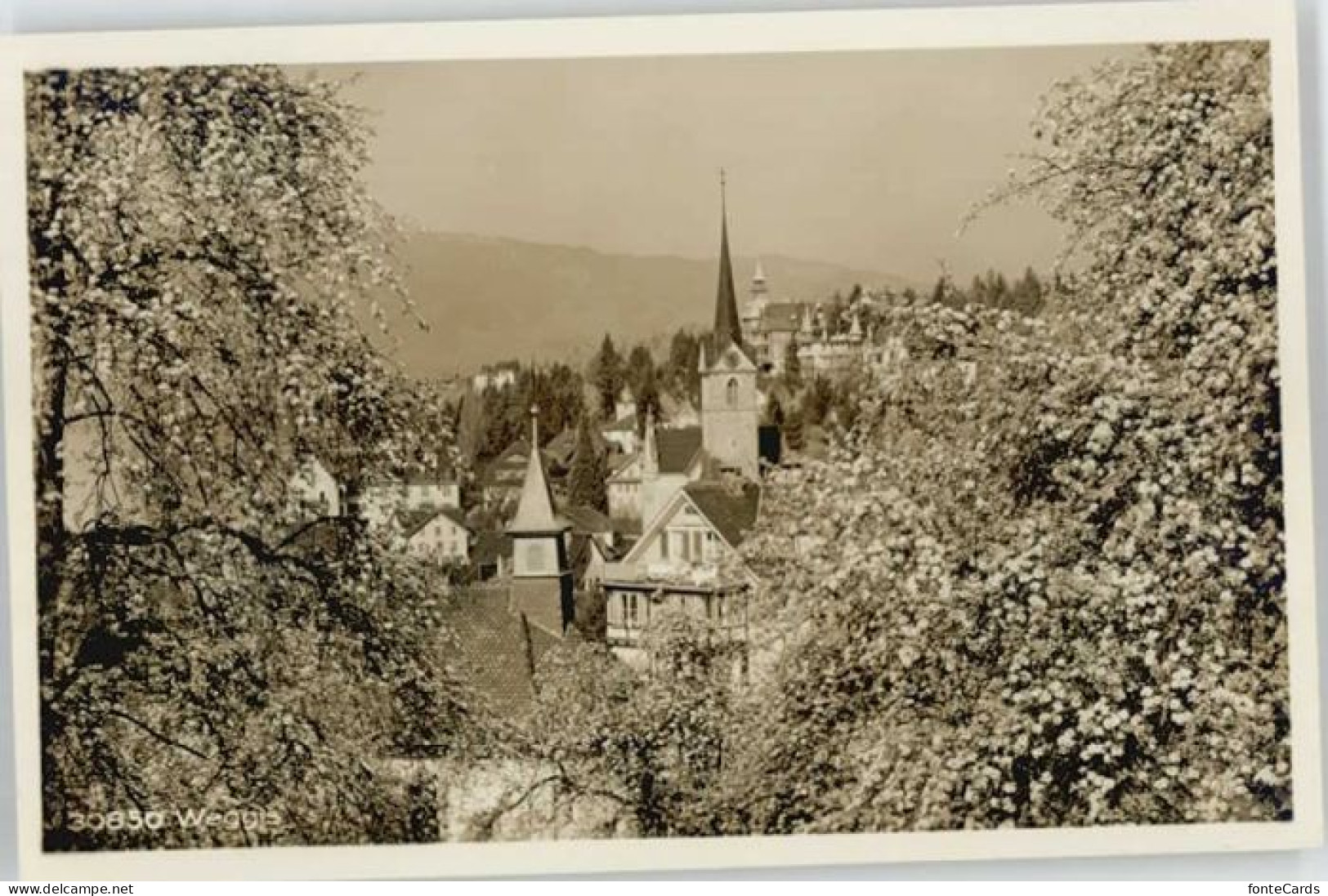 Weggis Vierwaldstaettersee Weggis