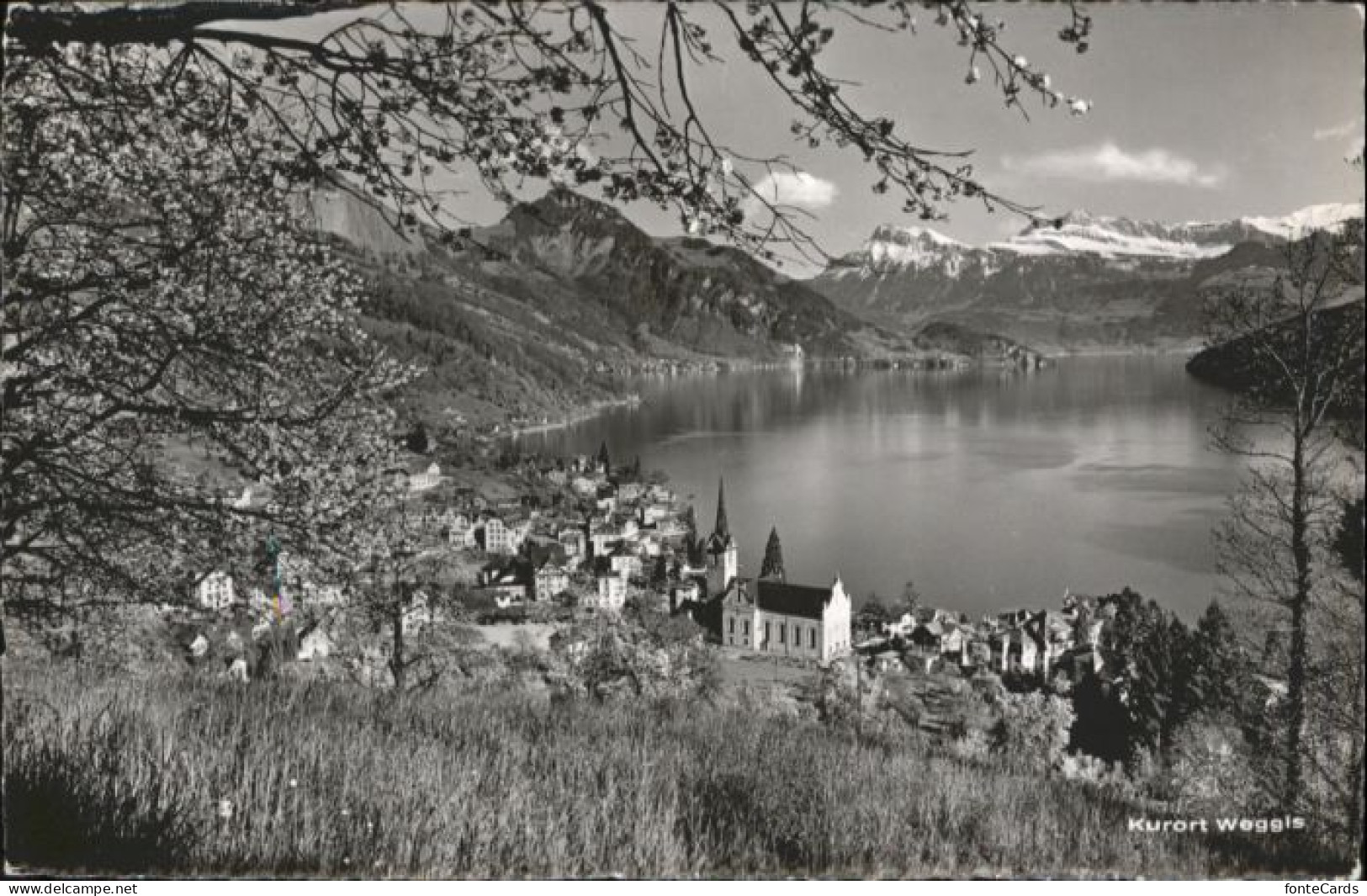 Weggis Vierwaldstaettersee Weggis