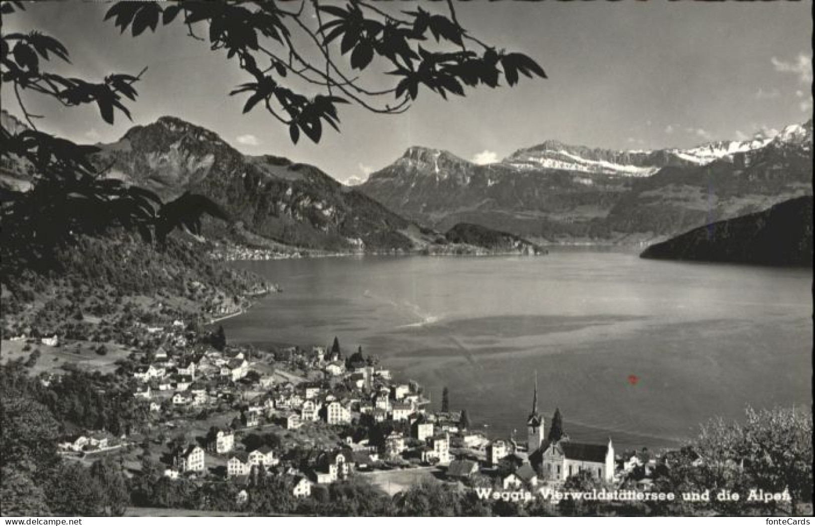 Weggis Vierwaldstaettersee Weggis