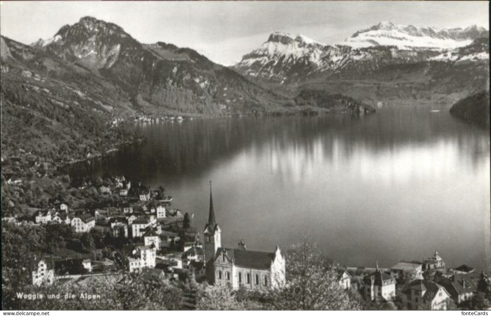 Weggis Vierwaldstaettersee Weggis