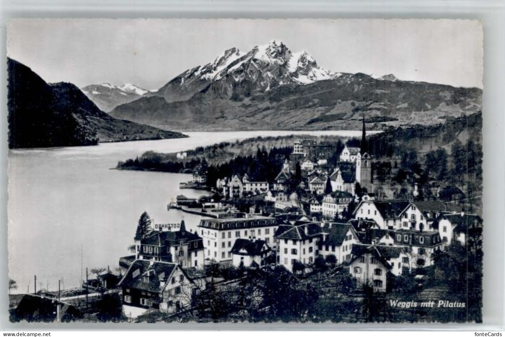 Weggis Vierwaldstaettersee Weggis