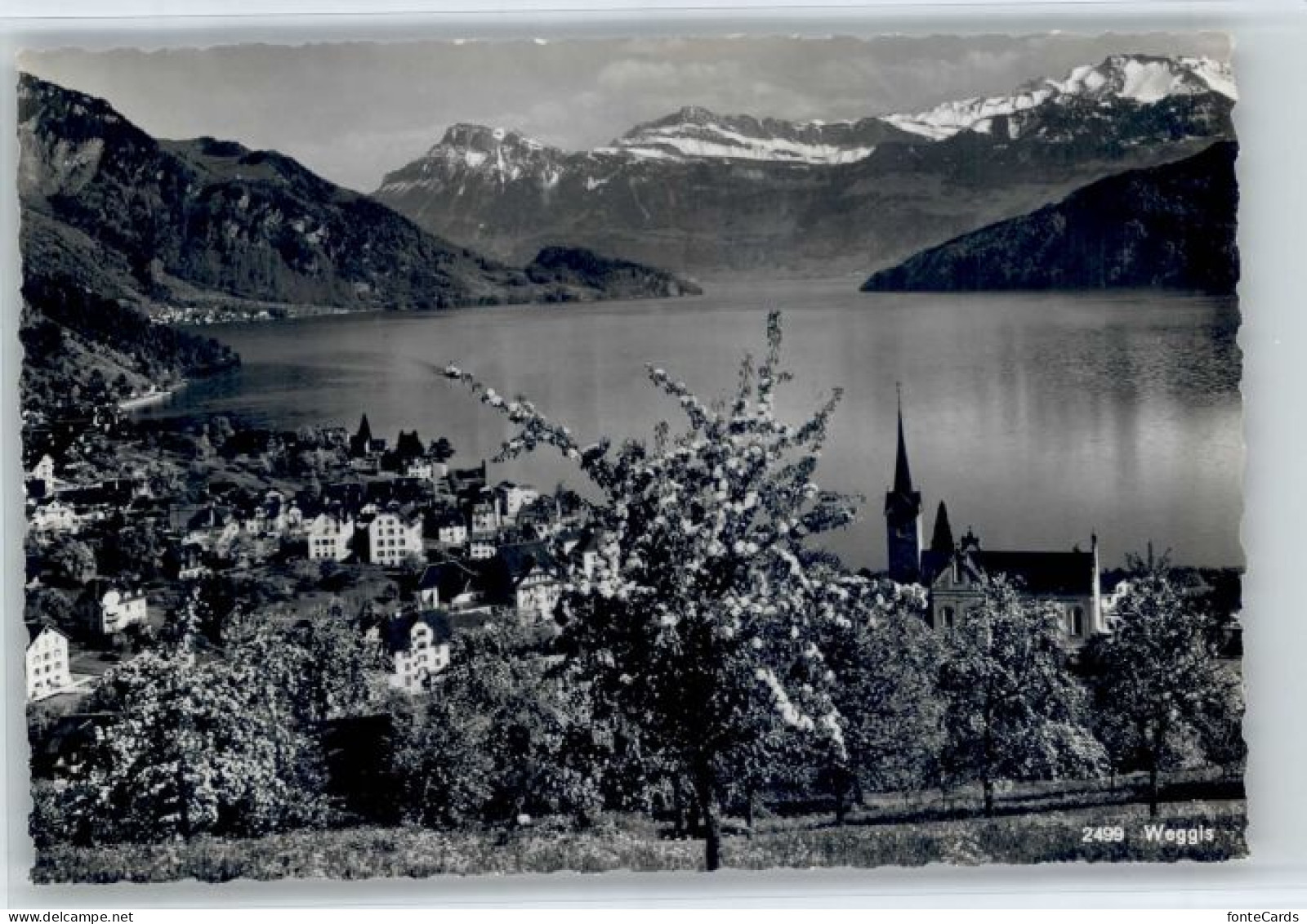 Weggis Vierwaldstaettersee Weggis