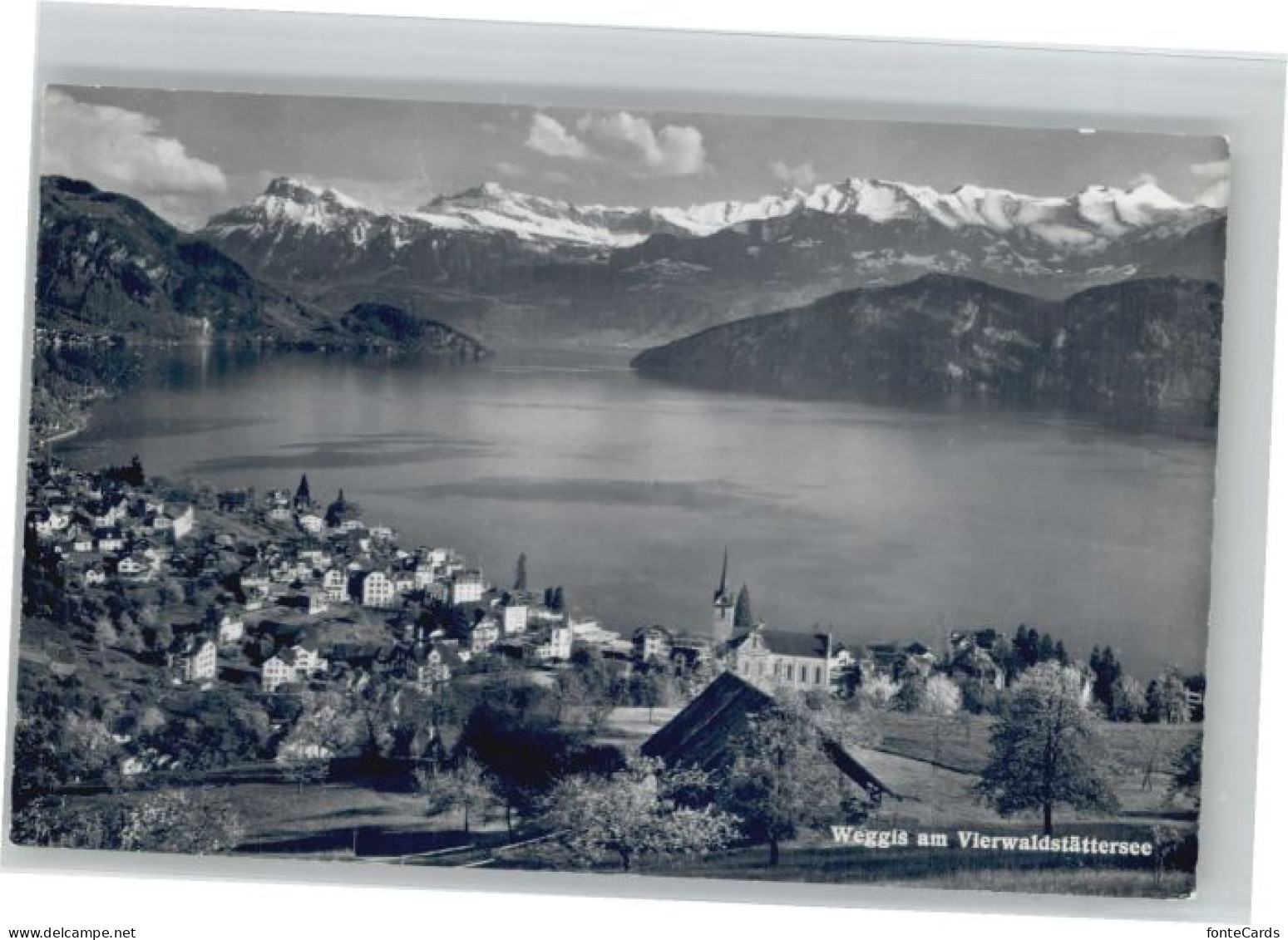 Weggis Vierwaldstaettersee Weggis