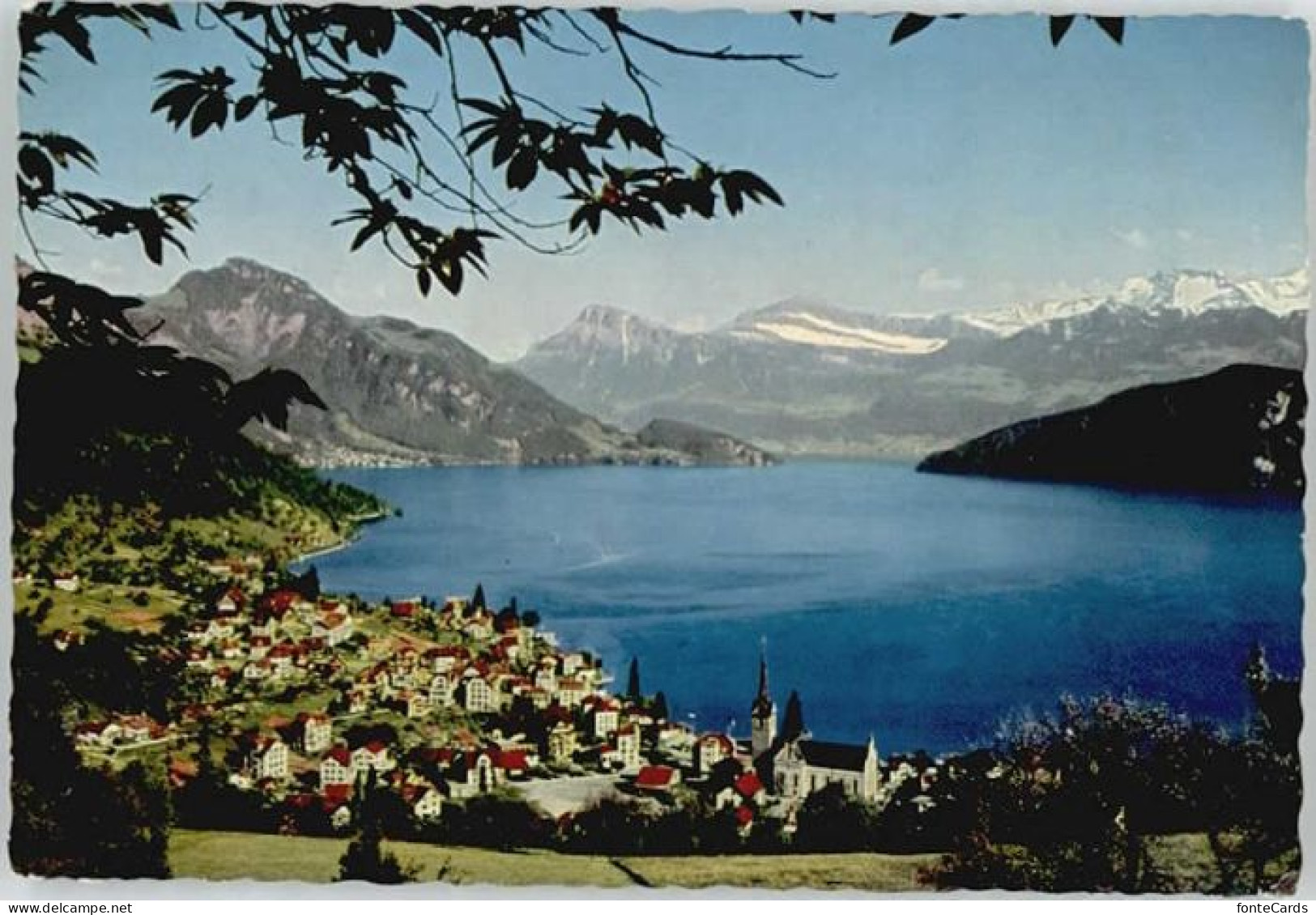 Weggis Vierwaldstaettersee Weggis