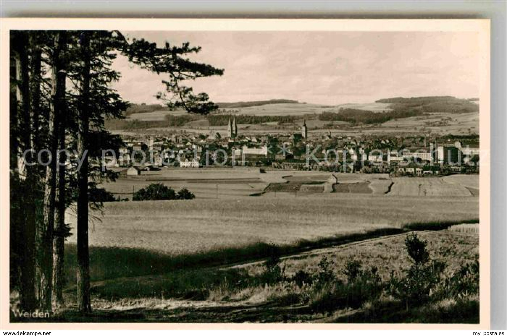 Weiden Oberpfalz Panorama