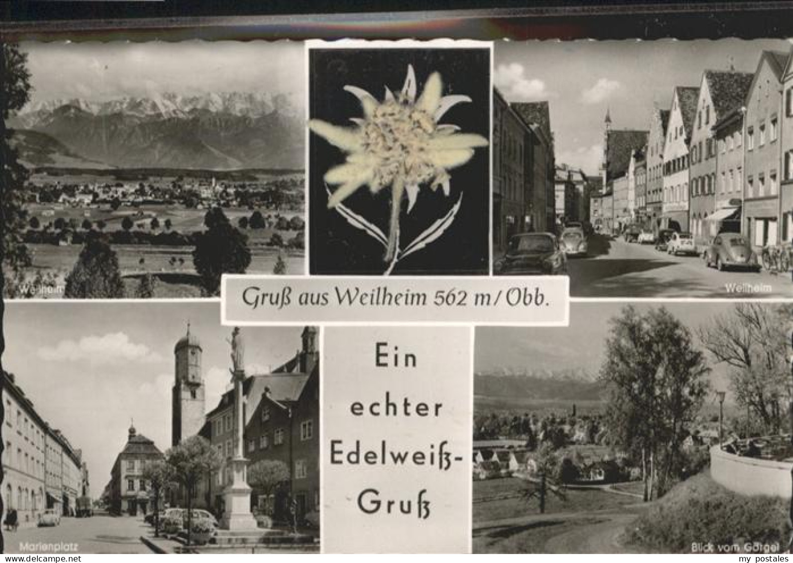 Weilheim Oberbayern Edelweiss Marienplatz