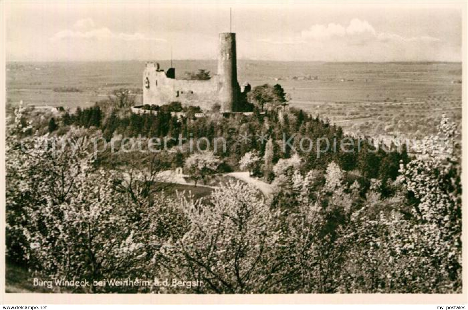 Weinheim Bergstrasse Burg Windeck