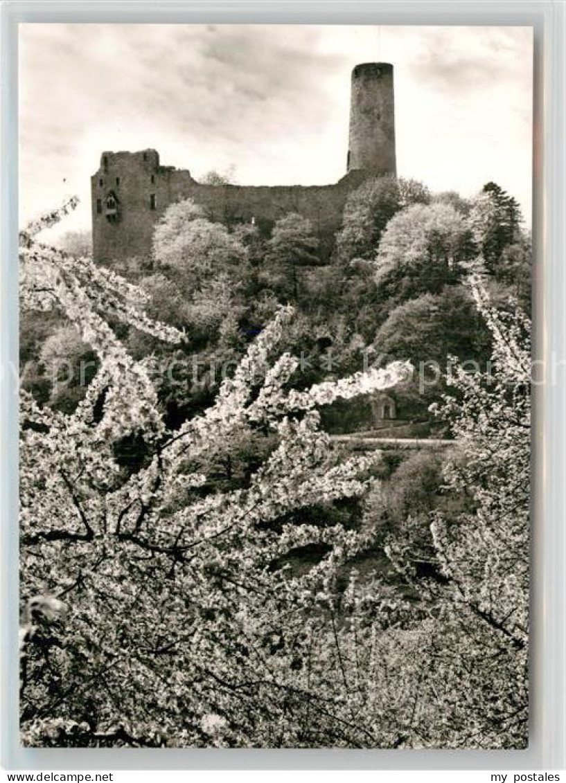 Weinheim Bergstrasse Burgruine Windeck