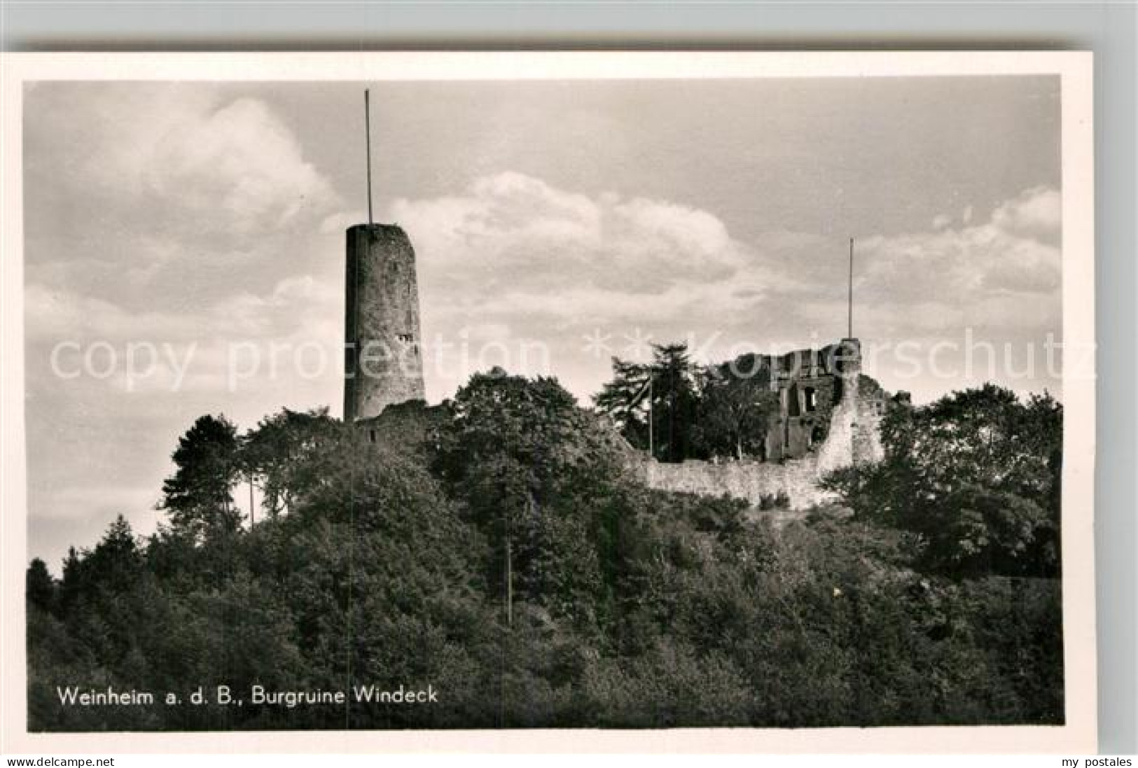 Weinheim Bergstrasse Burgruine Windeck