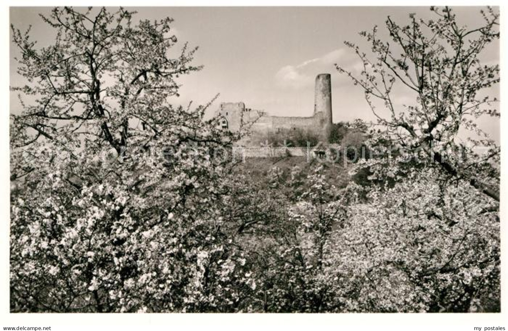 Weinheim Bergstrasse Burgruine Windeck