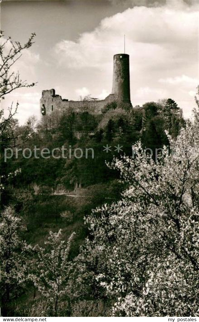 Weinheim Bergstrasse Burgruine Windeck