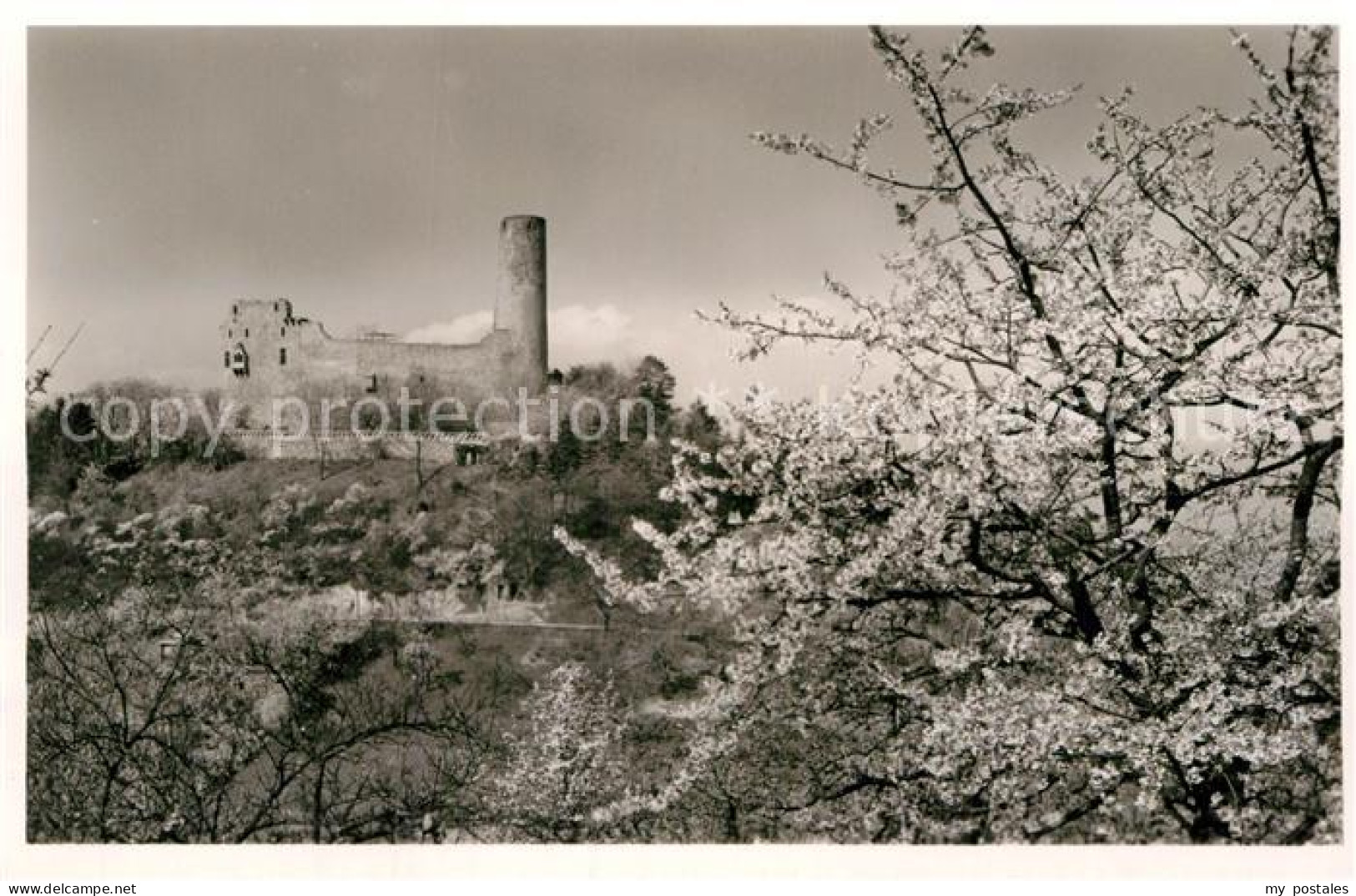 Weinheim Bergstrasse Burgruine Windeck