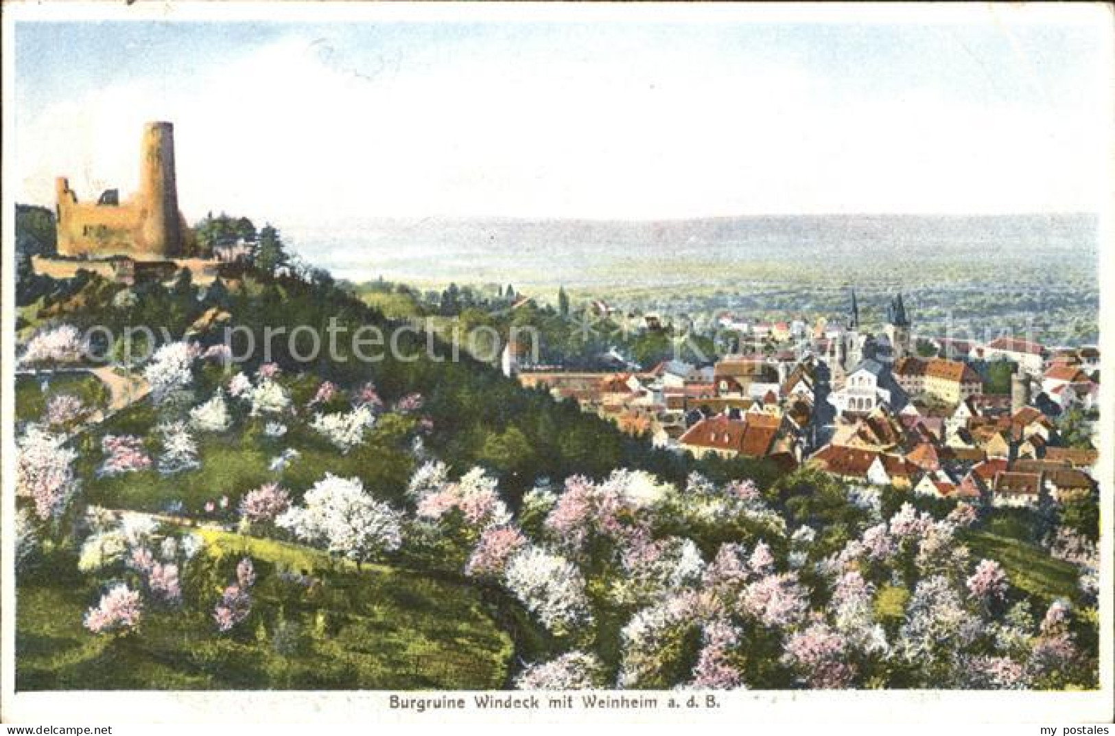 Weinheim Bergstrasse Burgruine Windeck