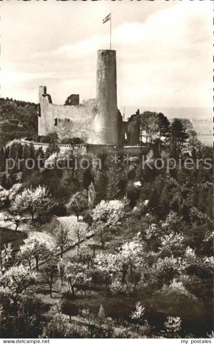 Weinheim Bergstrasse Burgruine Windeck