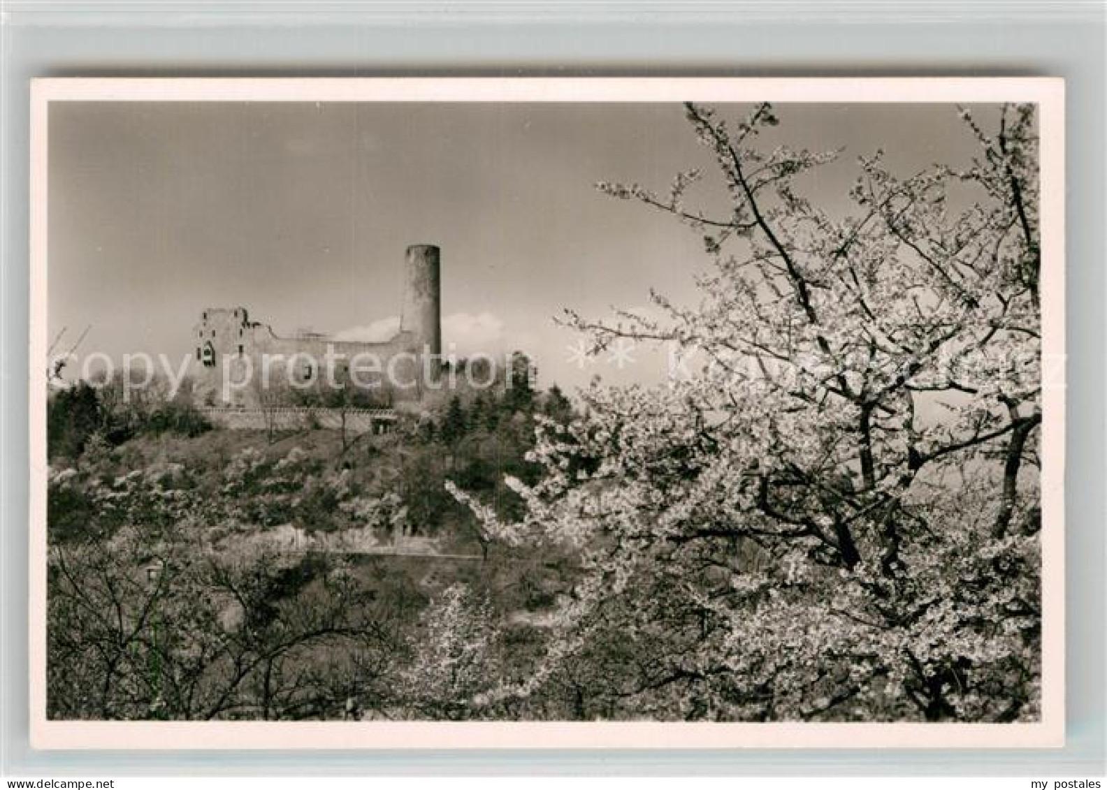 Weinheim Bergstrasse Burgruine Windeck