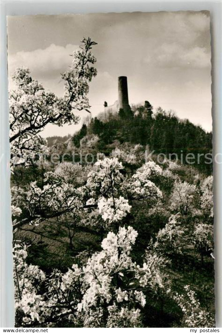 Weinheim Bergstrasse Burgruine Windeck