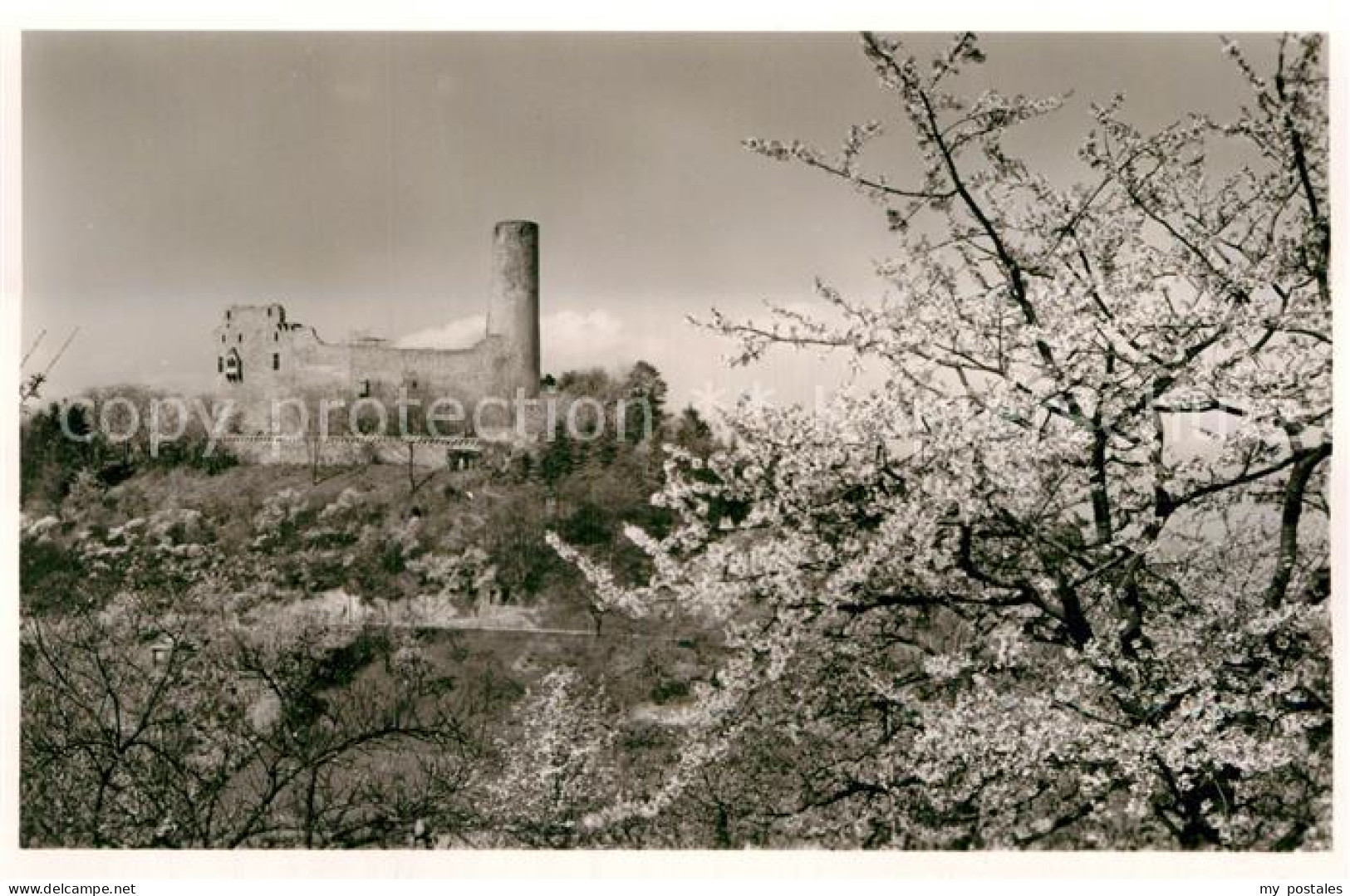 Weinheim Bergstrasse Burgruine Windeck