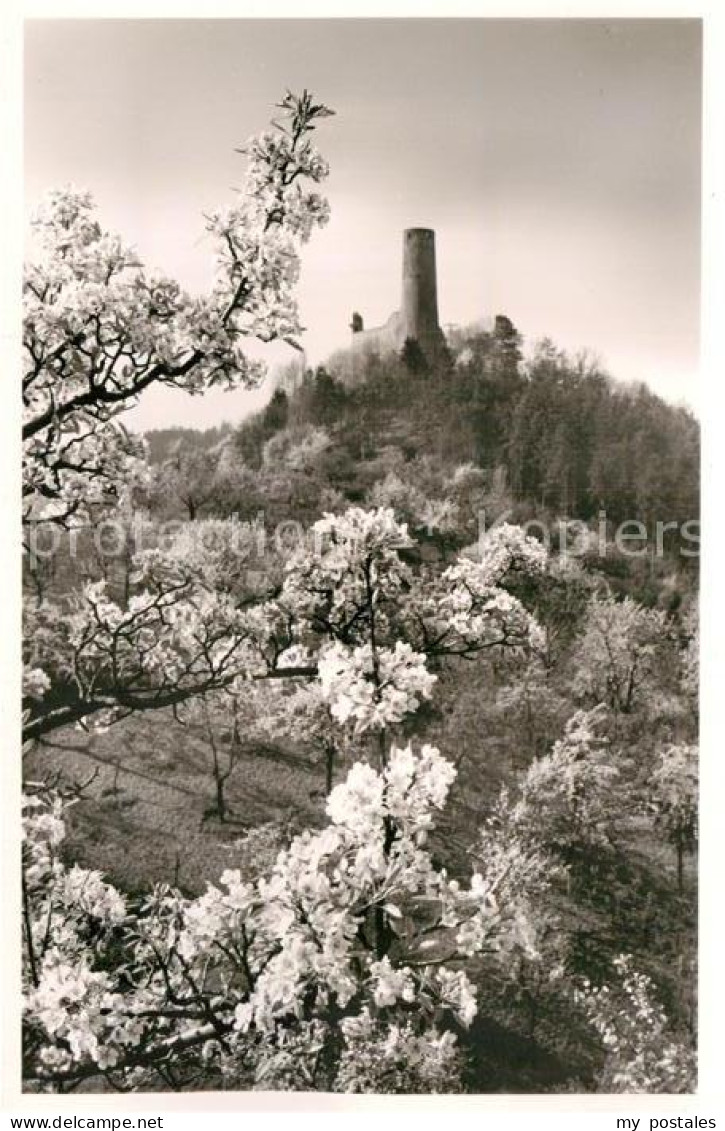 Weinheim Bergstrasse Burgruine Windeck
