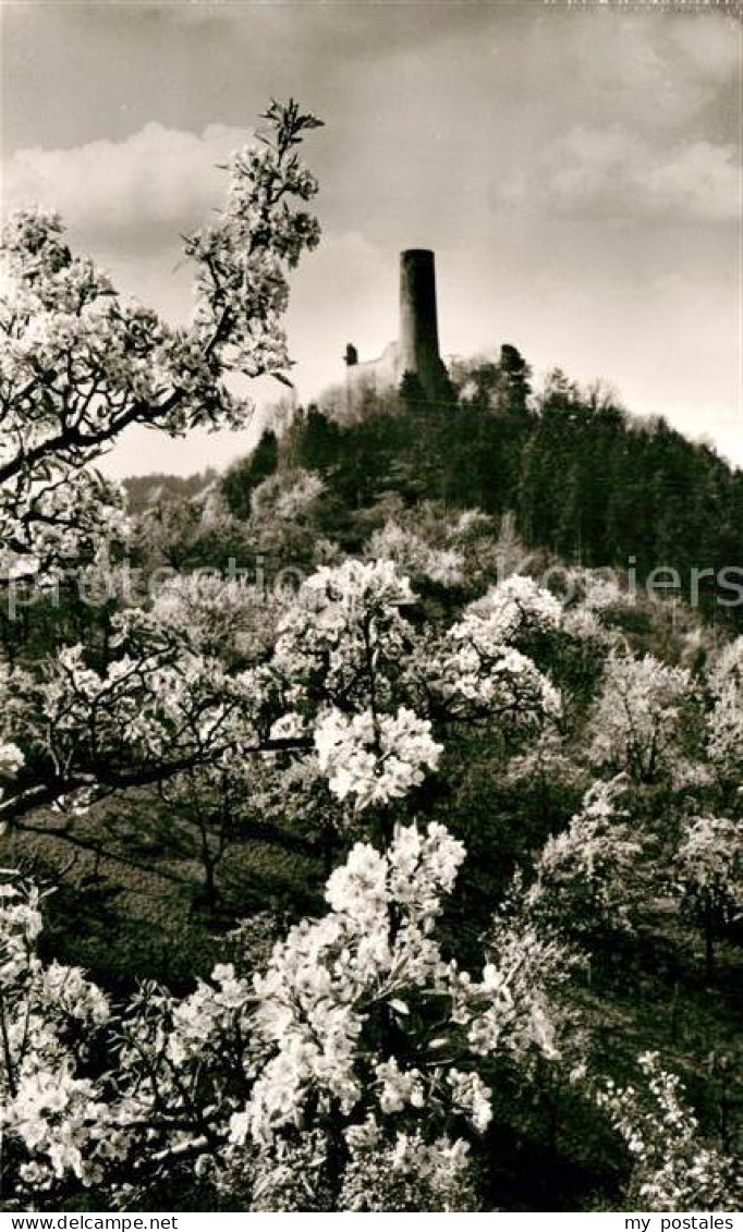 Weinheim Bergstrasse Burgruine Windeck