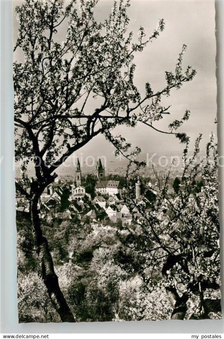 Weinheim Bergstrasse Panorama