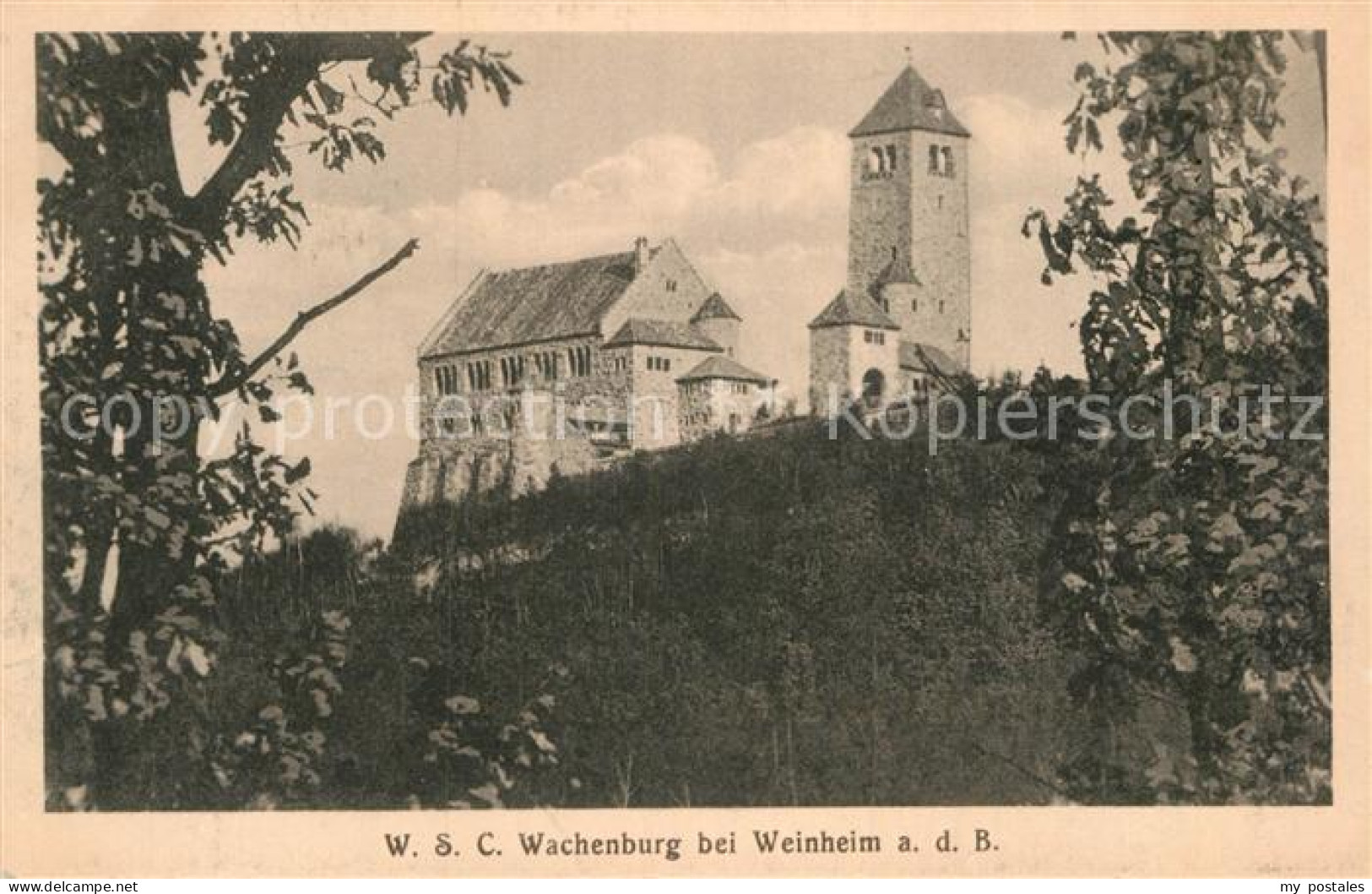 Weinheim Bergstrasse Wachenburg
