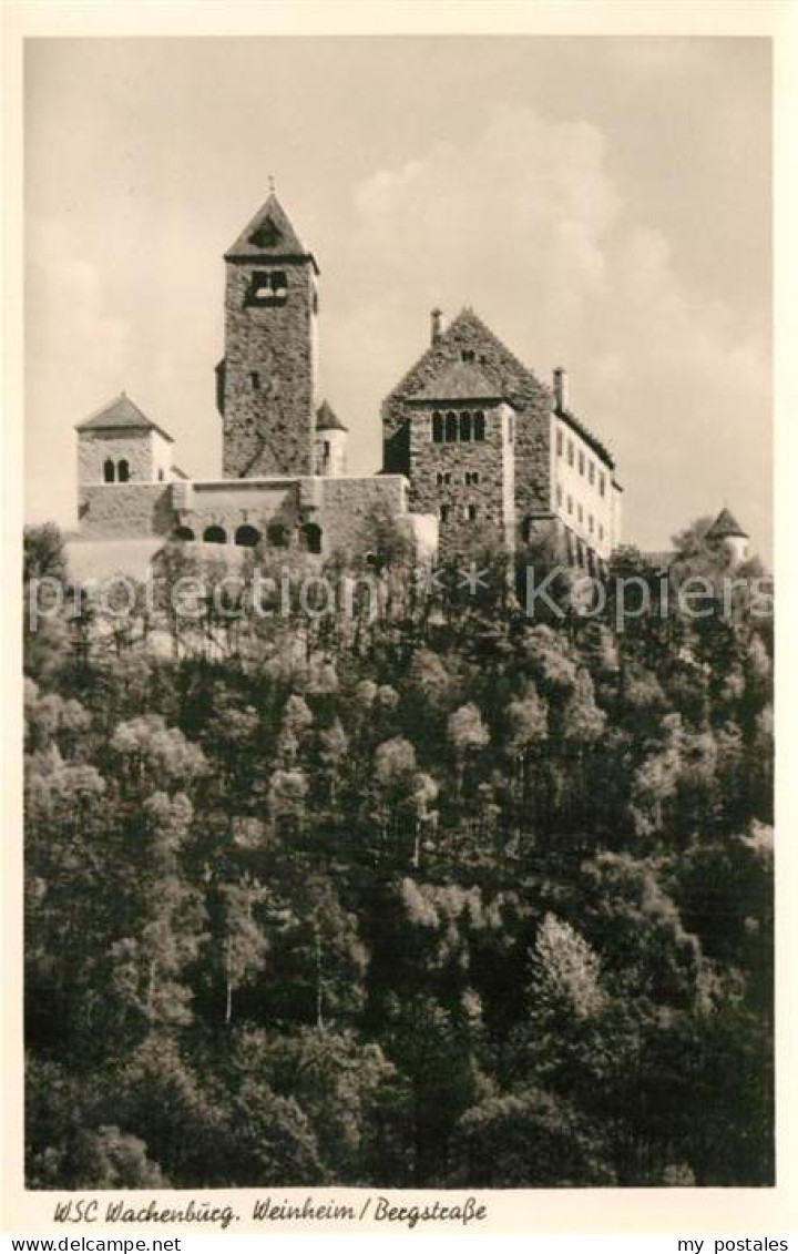 Weinheim Bergstrasse Wachenburg
