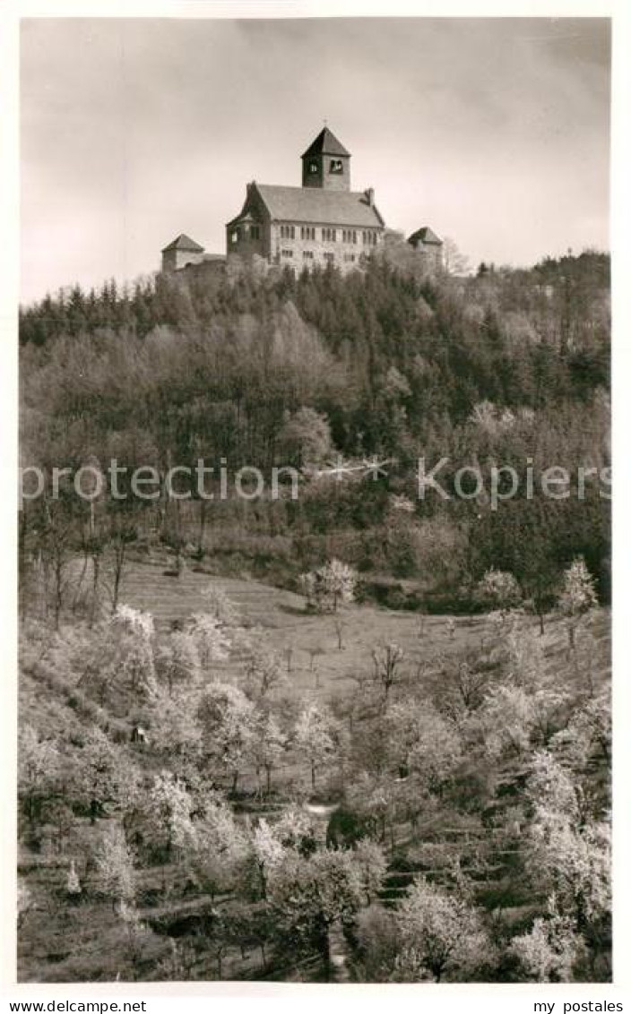 Weinheim Bergstrasse Wachenburg